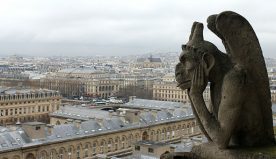 Notre Dame. Effimera, la vita è.