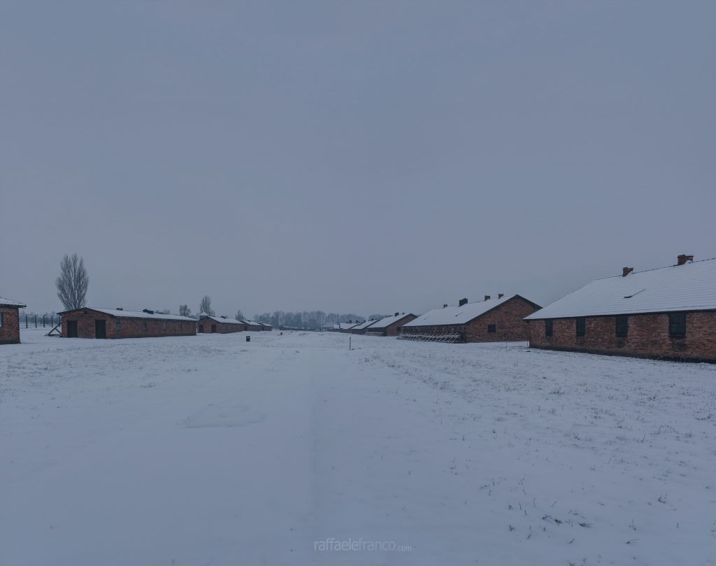 Il campo di concentramento e di sterminio di Auschwitz-Birkenau II