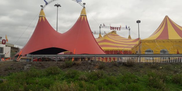 Veglionissimo in pista con gli artisti del circo Greca Orfei