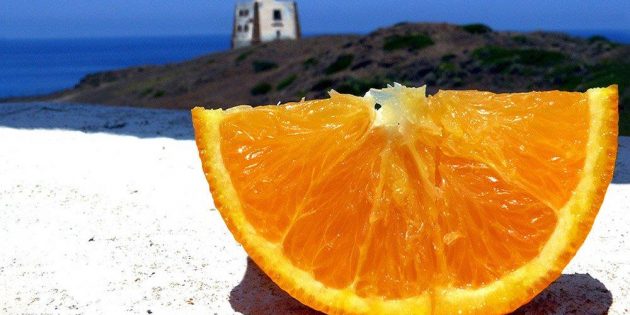 “Ficupala  Living  Sicily”: nasce il sito che promuove il turismo invernale in Sicilia