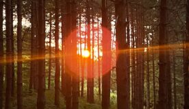 Escursione con tanti amici? monte Maletto è il posto adatto.