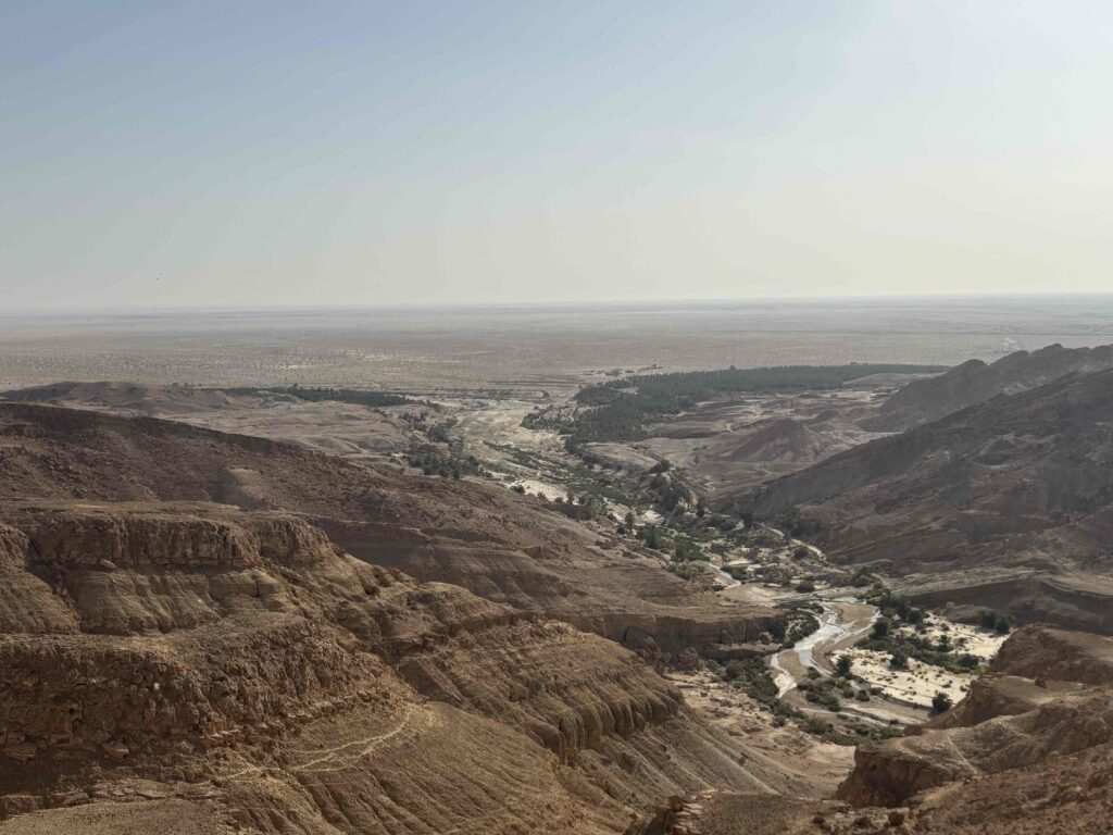 Vista panoramica delle oasi di montagna della Tunisia: canyon rocciosi color ocra che si aprono su una valle attraversata da un corso d’acqua e palmeti verdi, con il deserto che si estende all’orizzonte sotto un cielo velato.