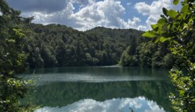 Nei boschi croati tra lupi, orsi e misteri: dieci giorni a Plitvice