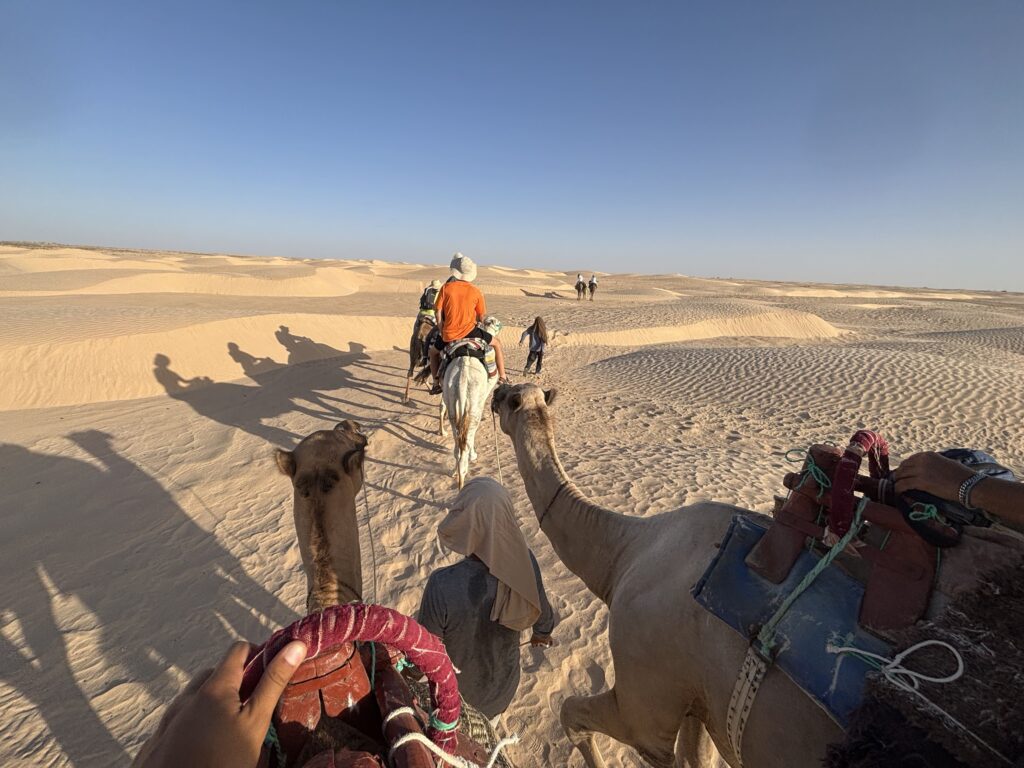 Le meraviglie della Tunisia, in groppa al cammello 